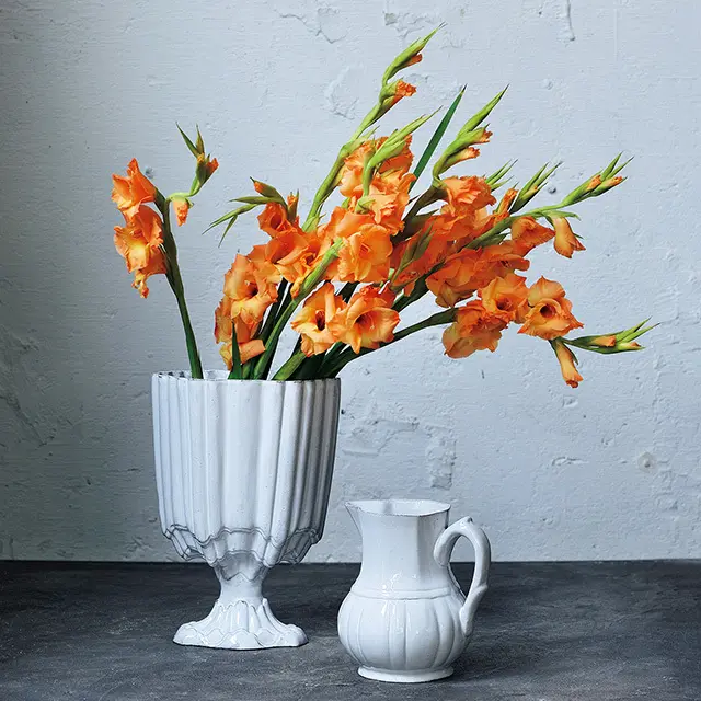 人気の「アスティエ・ド・ヴィラット」