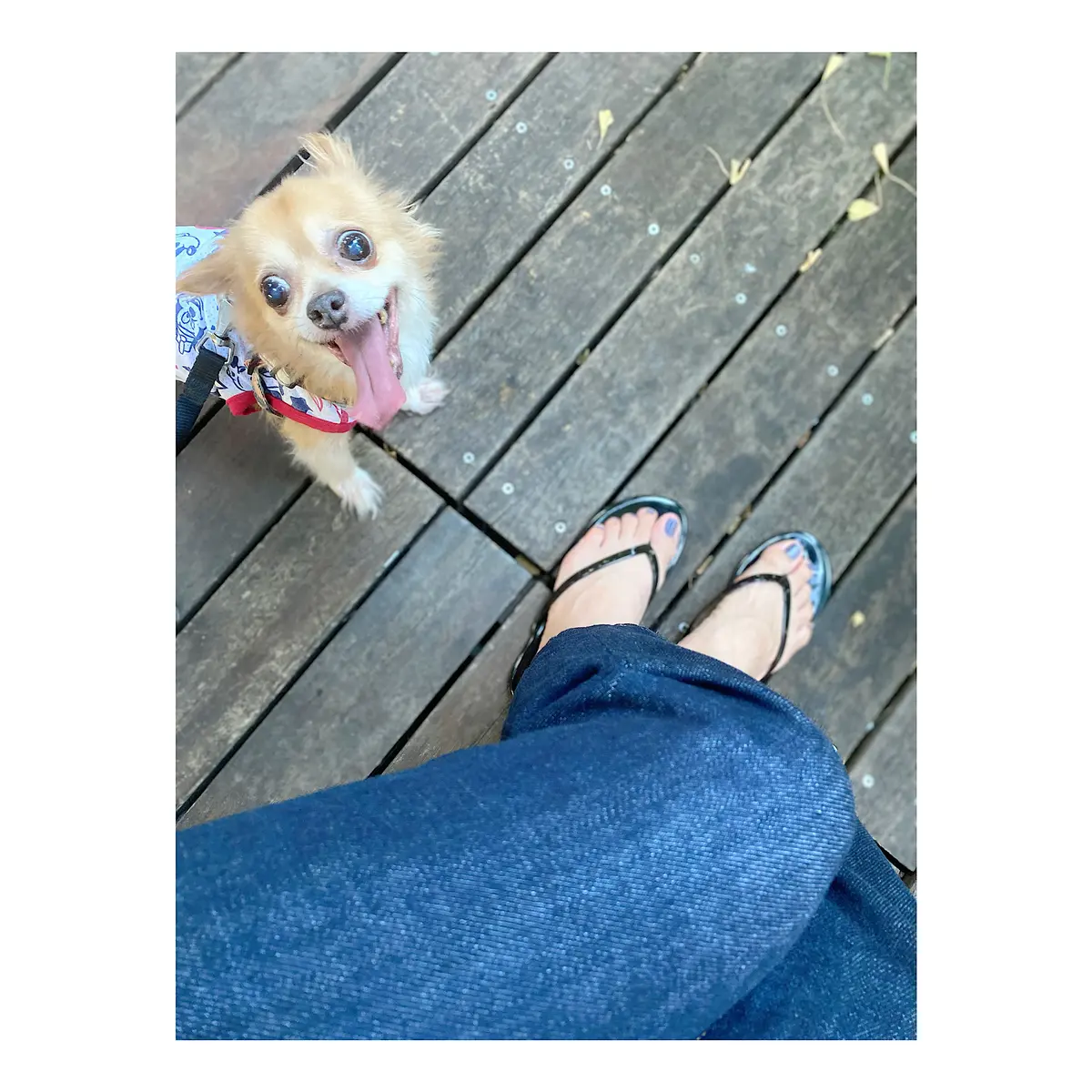 デニムアディクトの画像_7