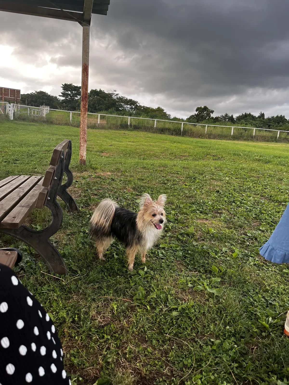 雨が降ってくる前に沢山走れてよかったね！
