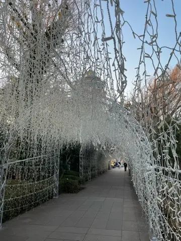 関東三大イルミネーション「湘南の宝石」@の画像_2