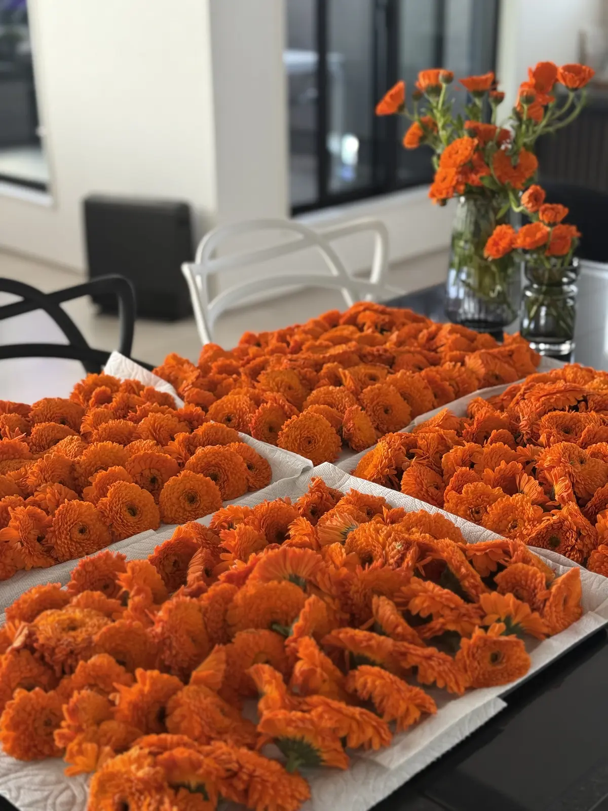 淡路島、カレンデュラ農園で収穫体験をしての画像_3