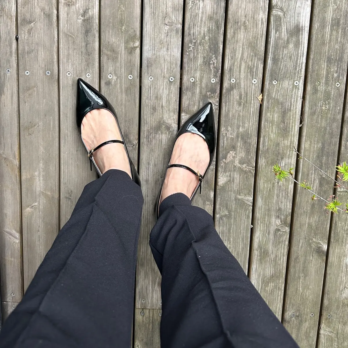 【Gianvito Rossi】のメリーの画像_2