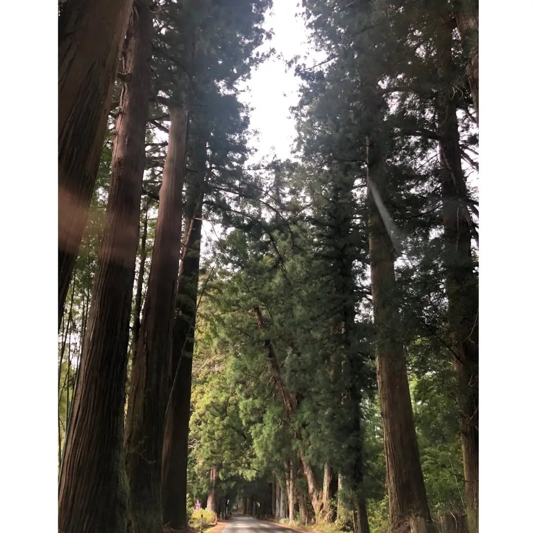 世界遺産　日光二荒山神社への画像_3