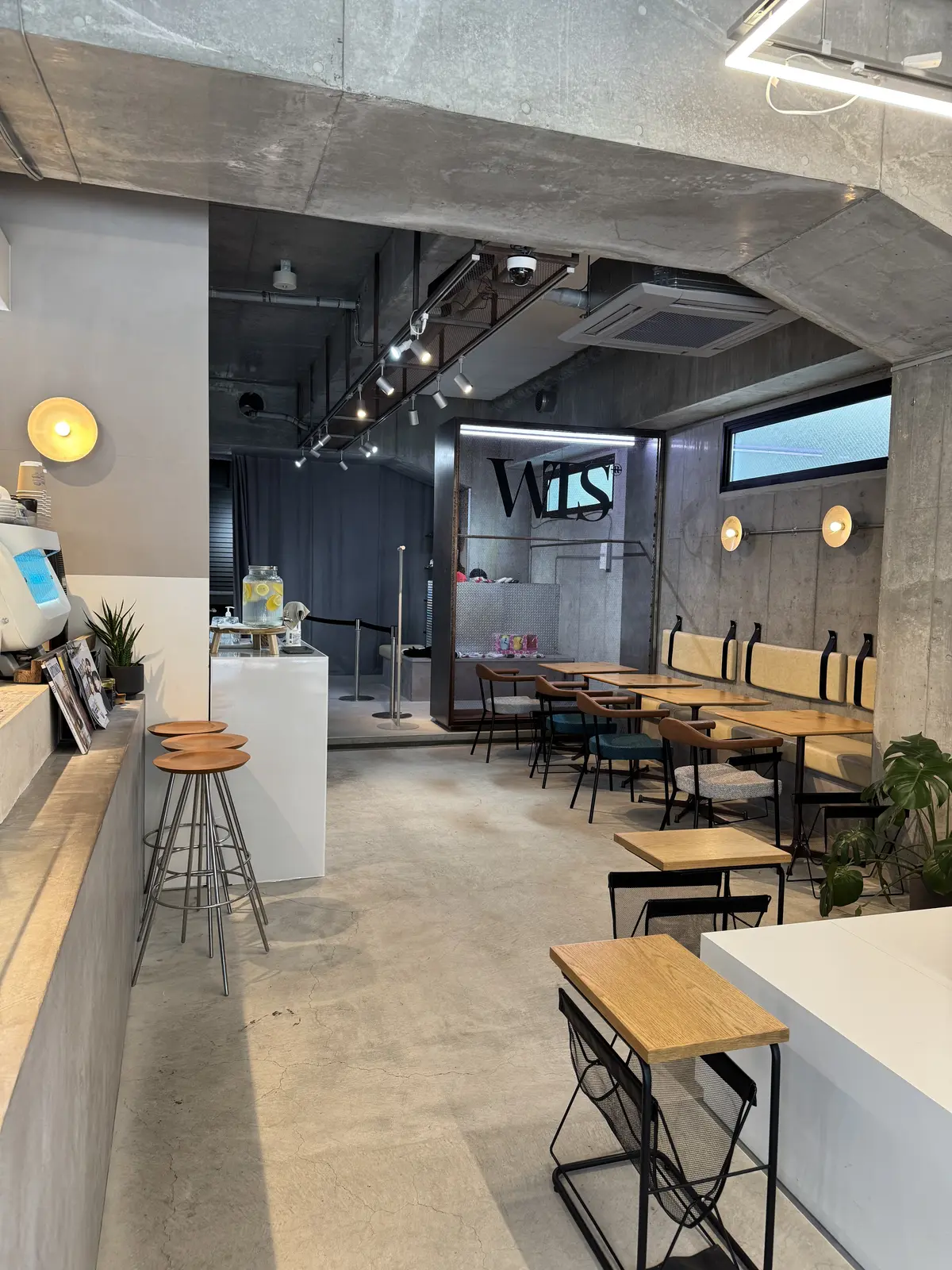 ワンコと一緒に楽しめるギリシャヨーグルトの画像_4