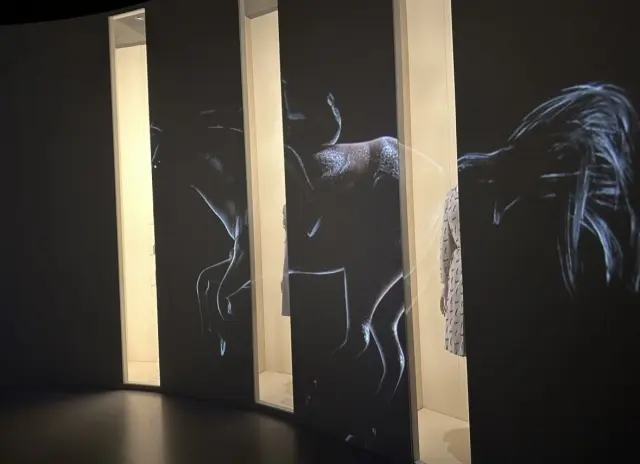 芸術の秋を堪能、京都旅行4日目。の画像_13