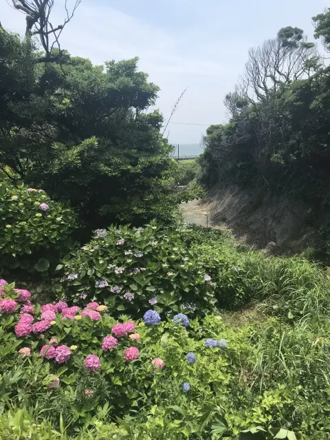 千客万来の画像_6