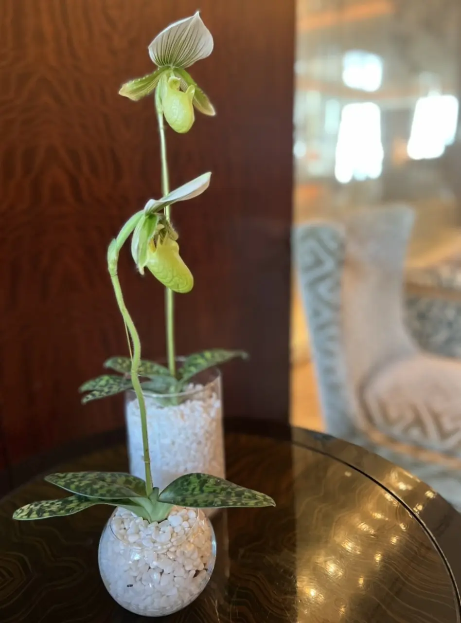 シャングリ・ラ東京の朝時間☆の画像_13