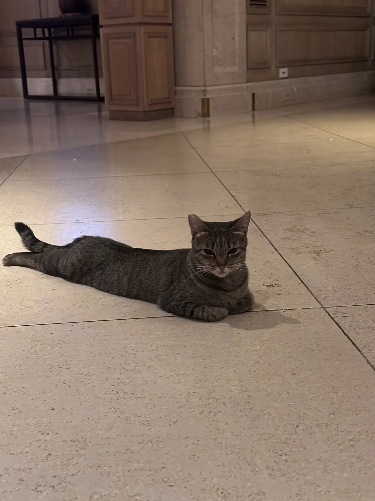 夏休み　家族でHawaii島　出発前〜到の画像_6