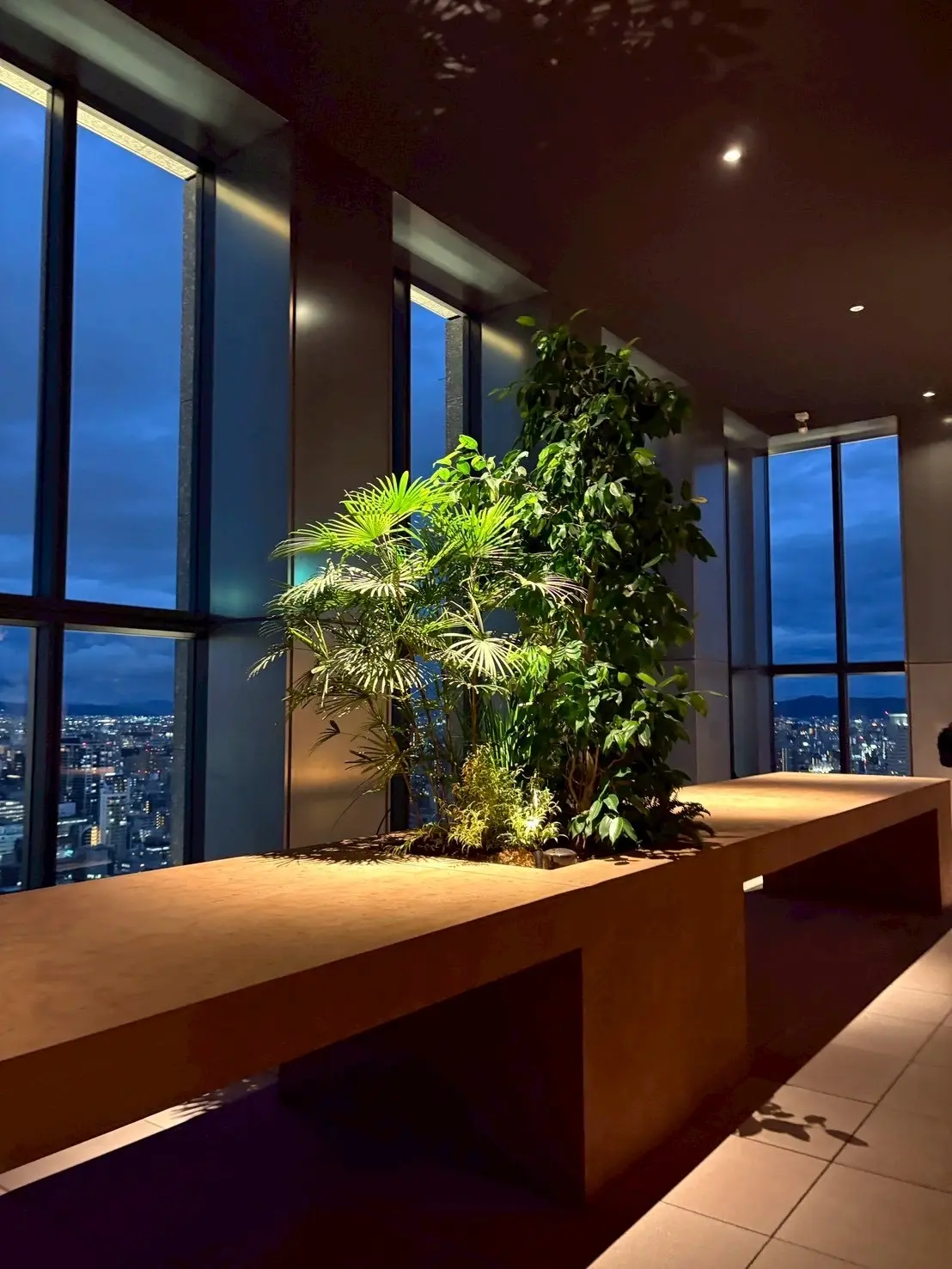 大阪　淀屋橋　ランドマーク　淀屋橋ステーションワン　30階　夜景　COVE DINING　カジュアルフレンチ　大阪ディナー　梅田ディナー　誕生日ディナー　ランドマーク　NewOpen　新名所　展望台