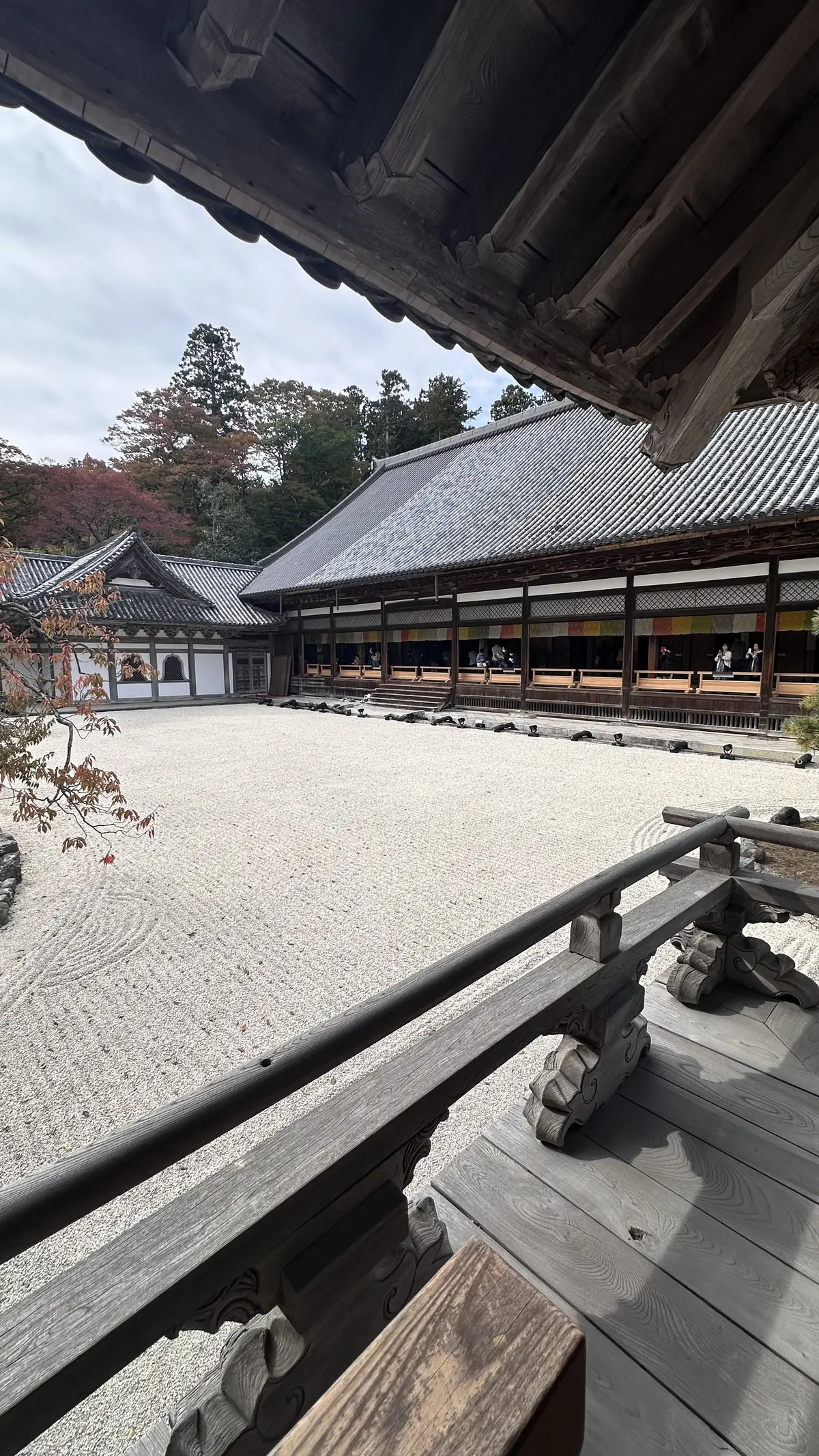 【秋の仙台旅行】「宮島」と「瑞巌寺」で鷹の画像_12