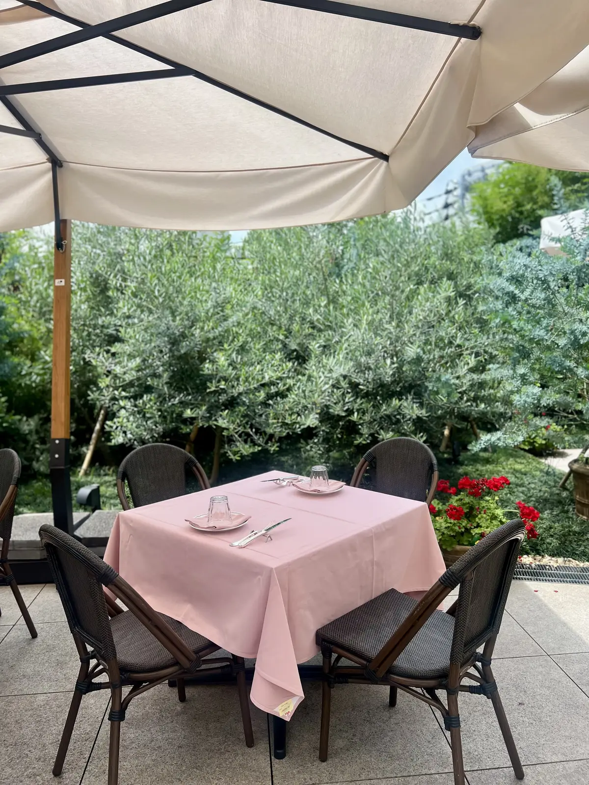 涼しく華やぐシアージャケットで青山ランチの画像_2