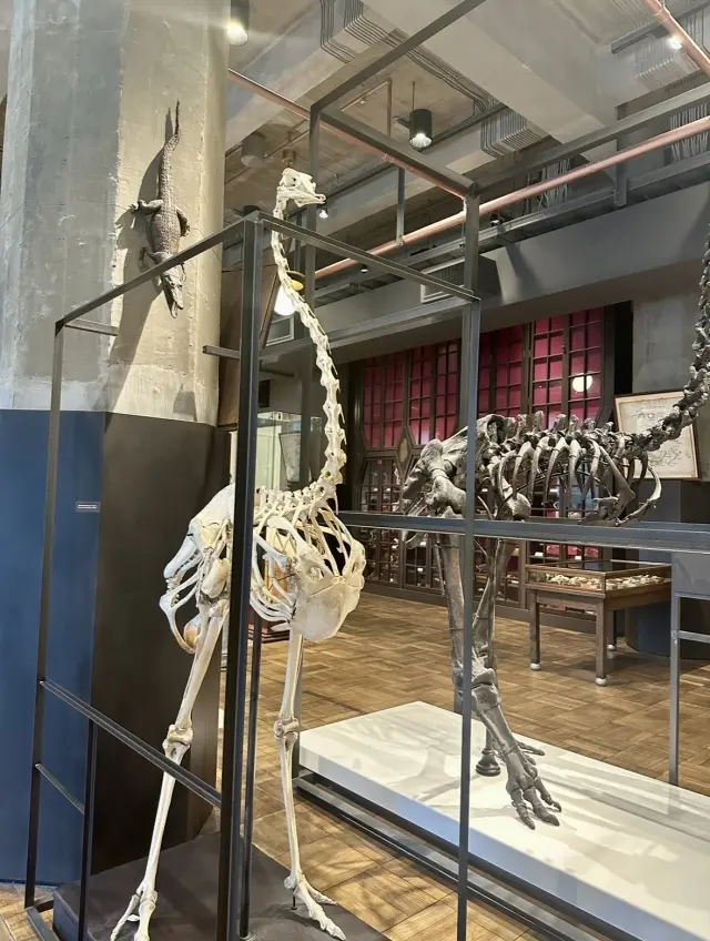 KITTEにある広大な博物館を訪れましたの画像_7