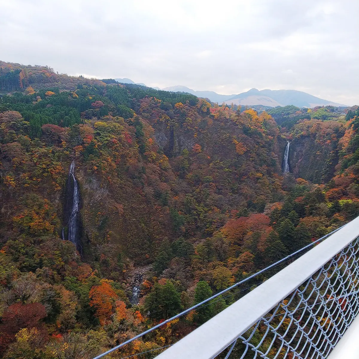 『湯布院』の画像_5
