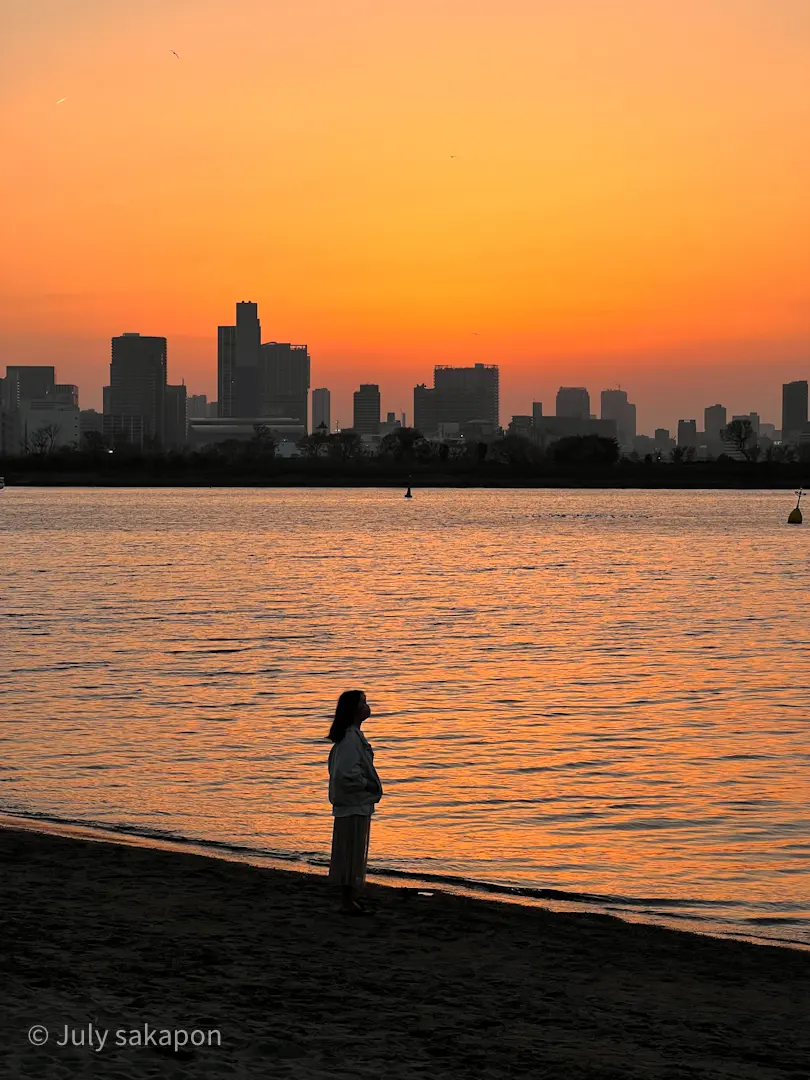 【さかぽんの冒険】チューリップとハンバーの画像_11