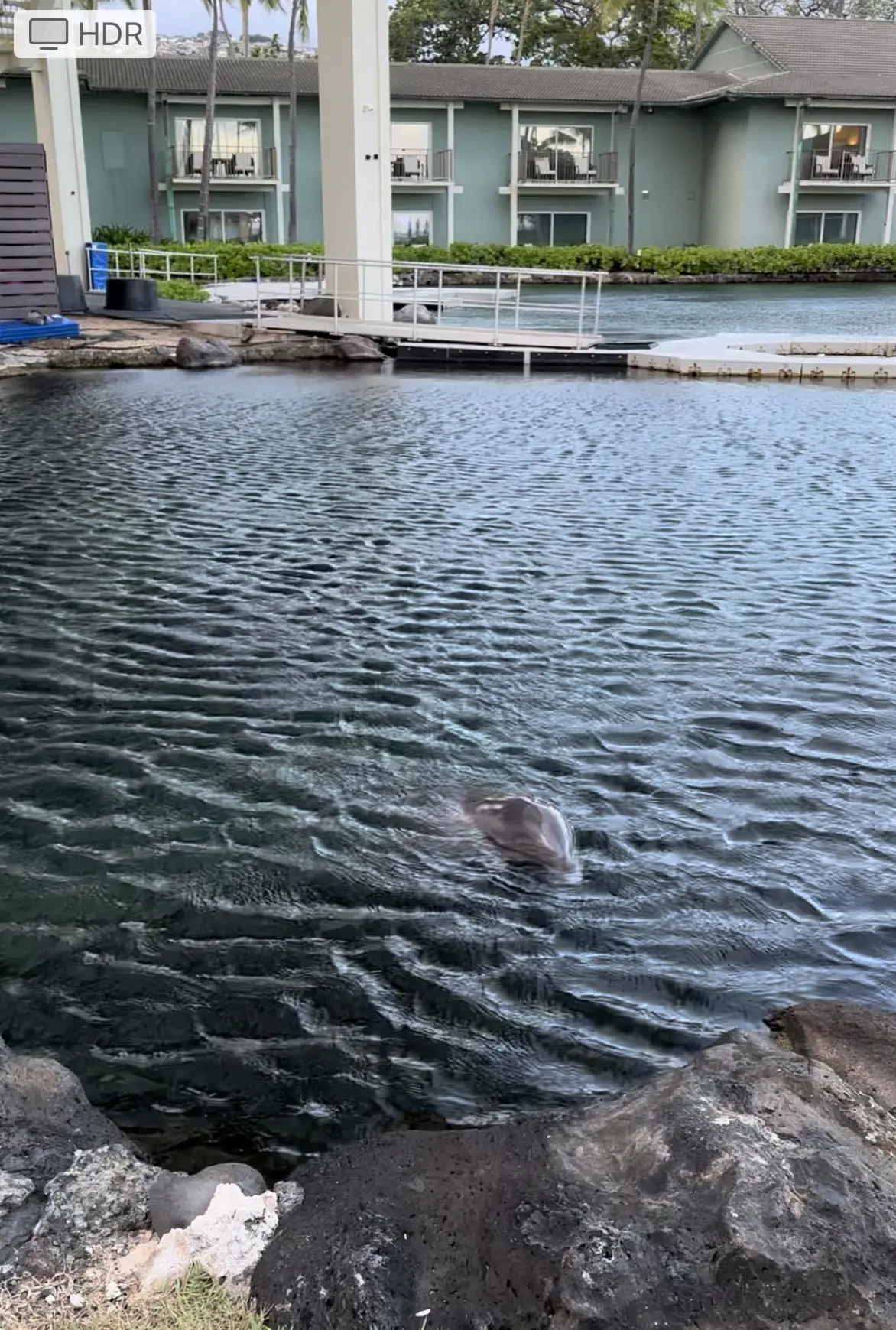 2023 夏　家族旅行　今月号eclatの画像_9