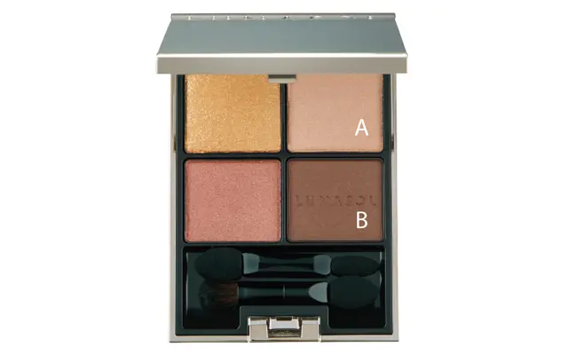 ルナソル アイカラーレーション EX17 （限定品）