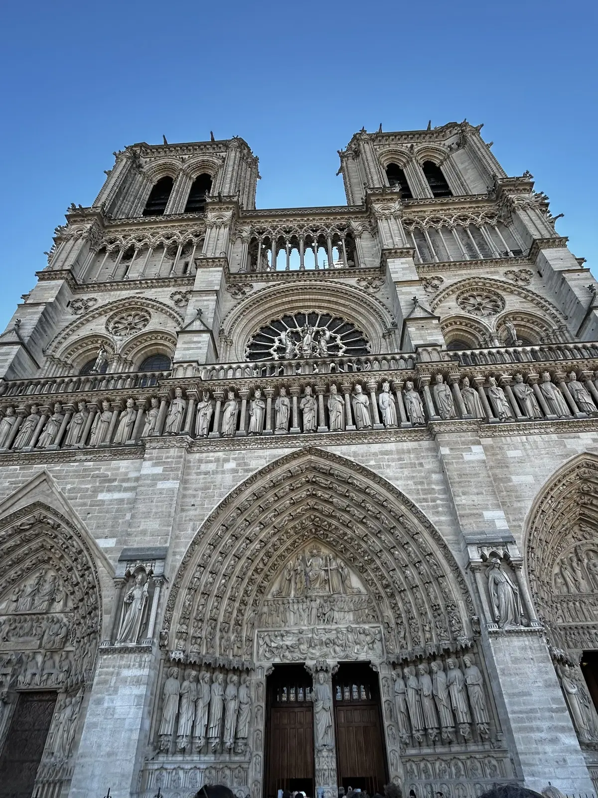 パリ　ノートルダム大聖堂　再開　　Cathédrale Notre-Dame de Paris