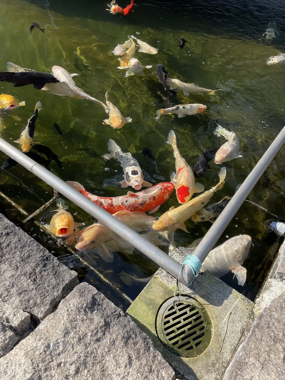 倉敷の奥座敷・矢掛町へ行ってきました　　の画像_5