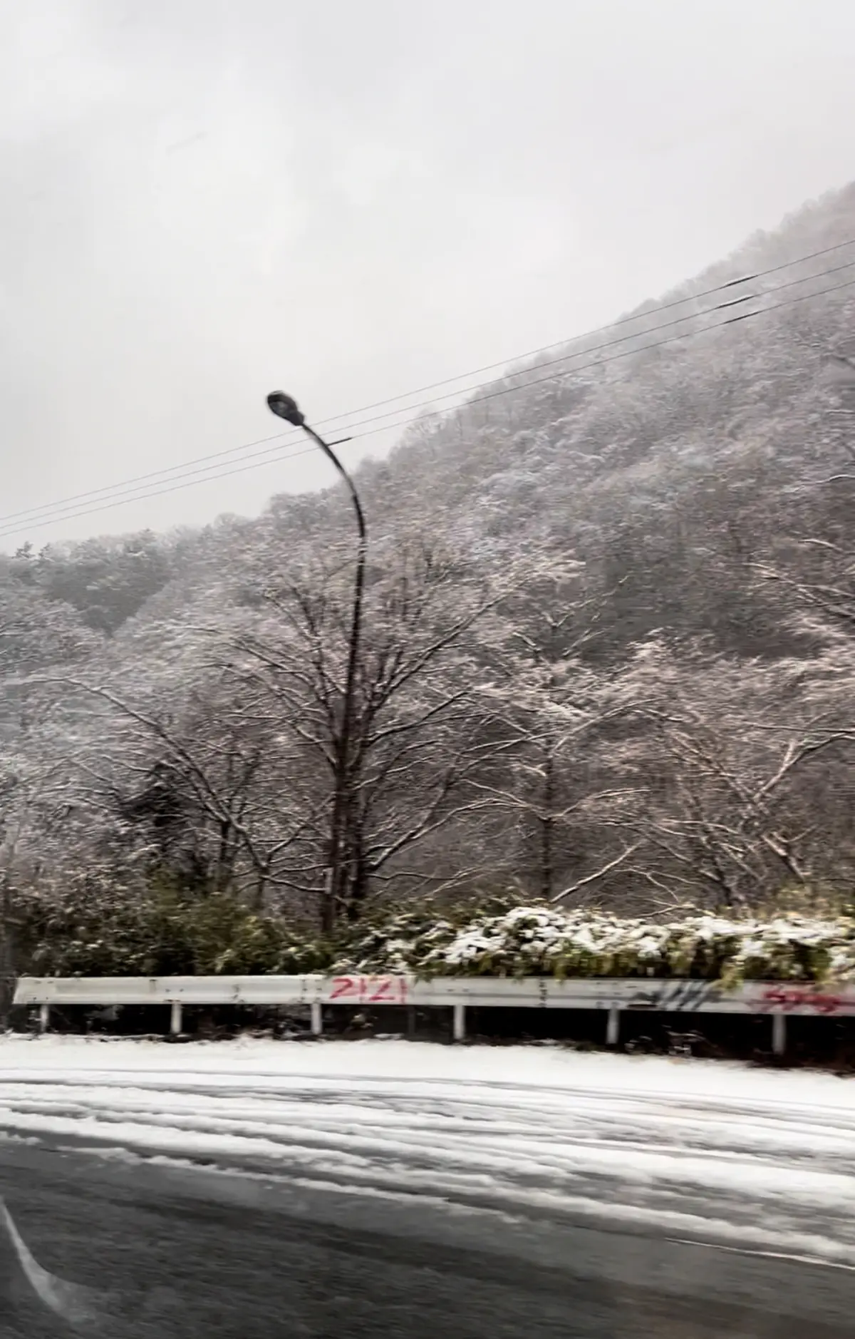 道路にもかなりの雪が！
