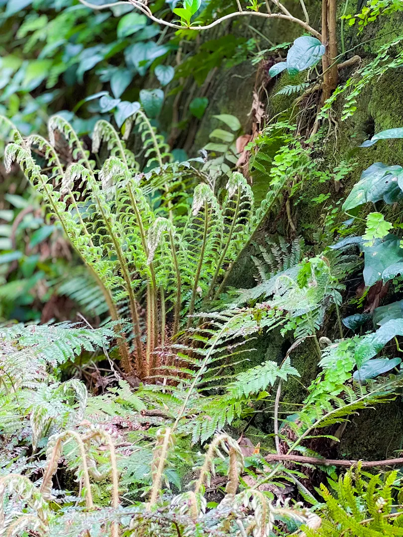 【さかぽんの冒険】前編☆無人島で奇跡のラの画像_14