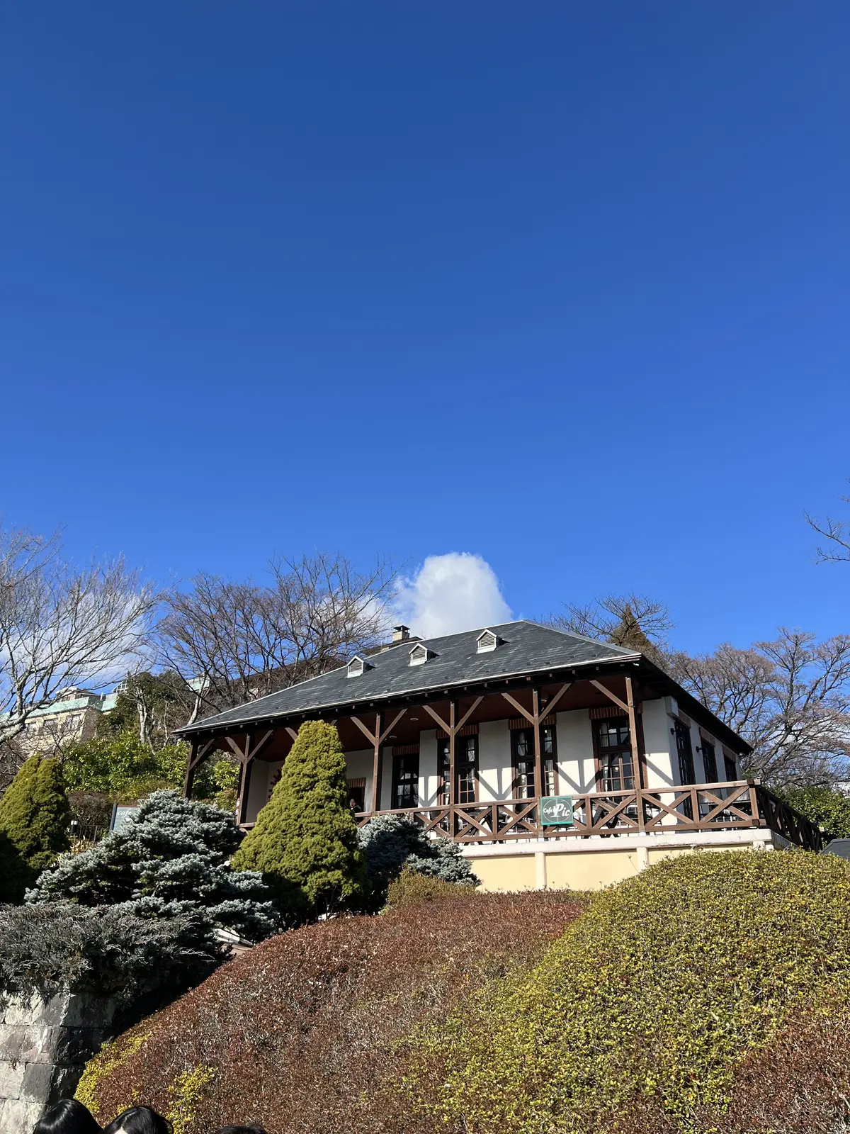 テラス席はワンコOKなイタリアンレストランもあります！