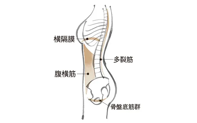 今話題の「ガスケアプローチ」でケア！「骨の画像_1