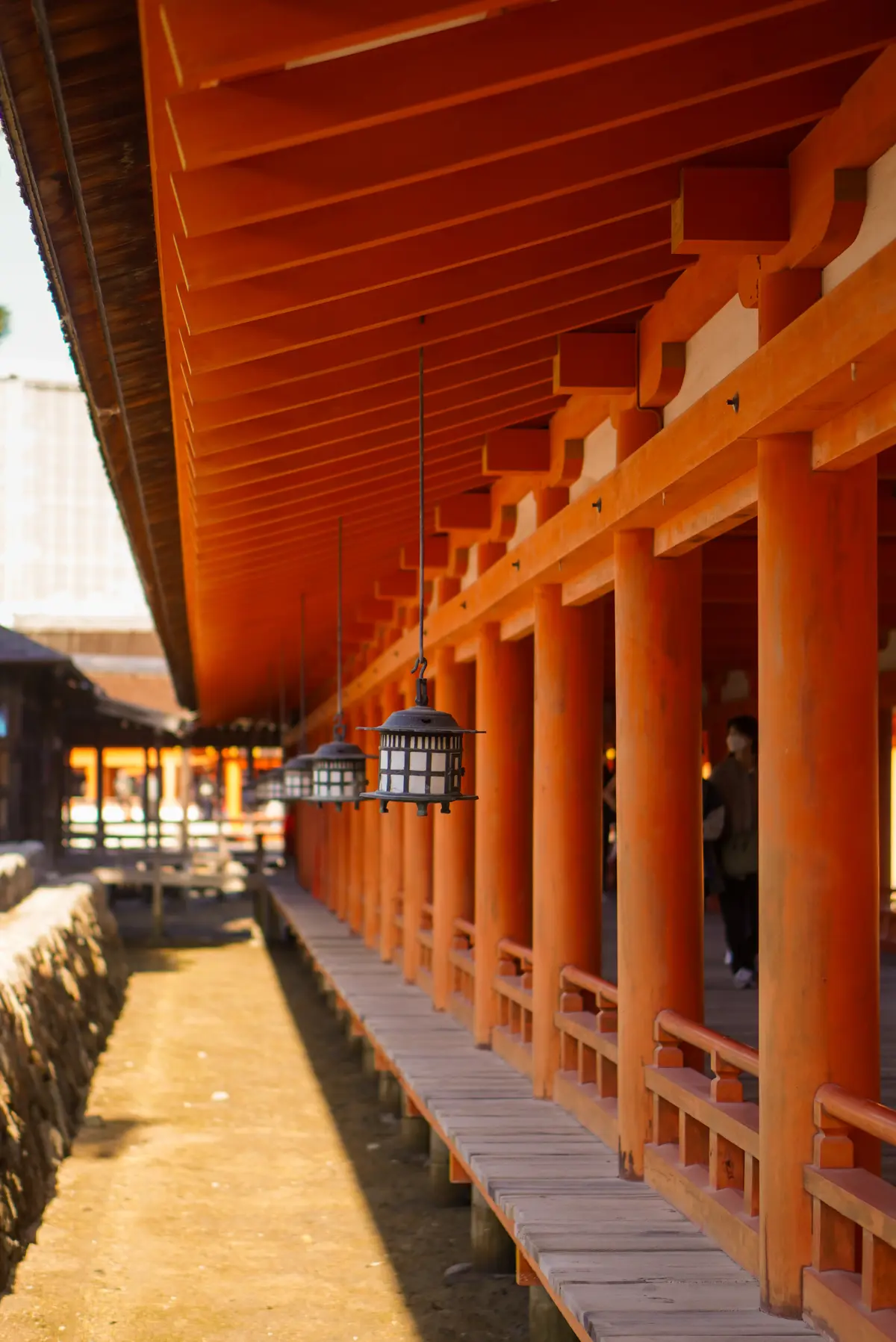 広島・世界で最も美しい美術館と宮島を巡るの画像_10