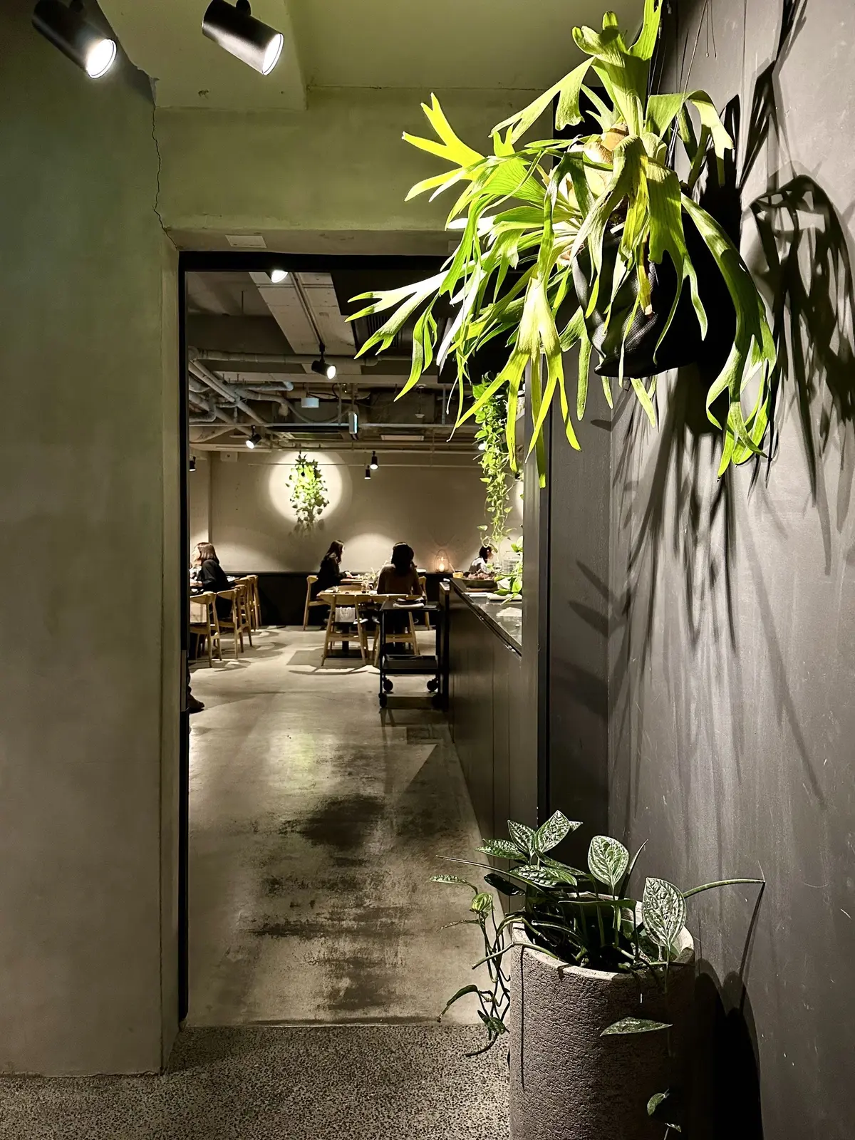 素敵メンバーとの表参道ランチ会♪の画像_4