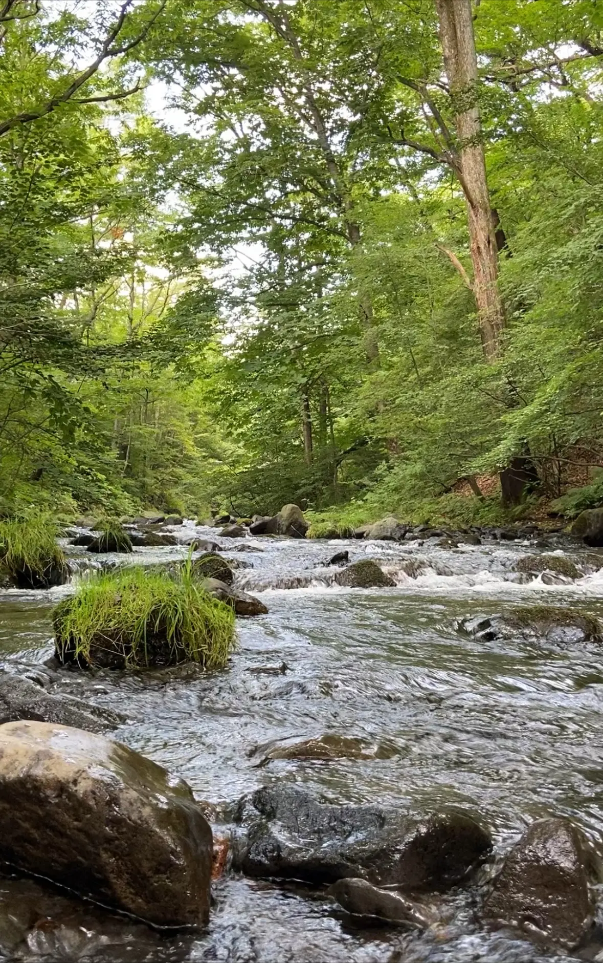 おいしい時間をめぐる、大人の軽井沢　パーの画像_12