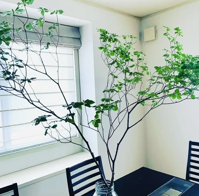 リビングはオリンピックモードの画像_1