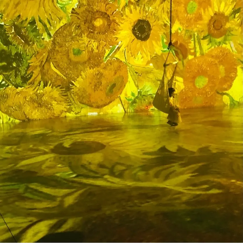 《ファン・ゴッホー僕には世界がこう見えるの画像_3