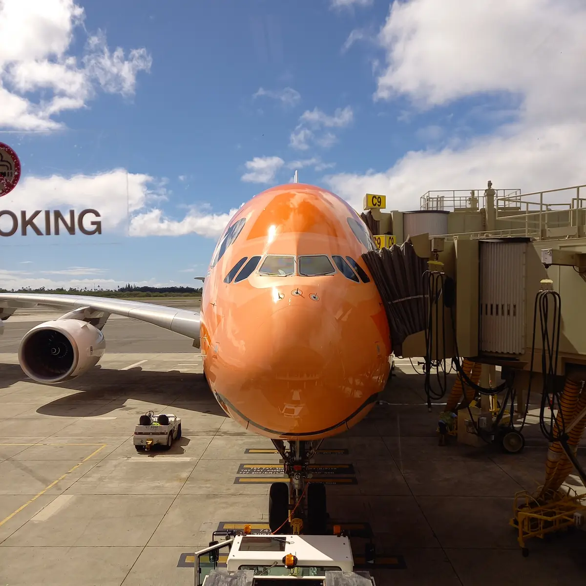 ハワイ最後はショッピングで締めくくり♡⃛の画像_3