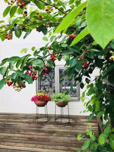 チームJマダム　インテリア　お花のある暮らし