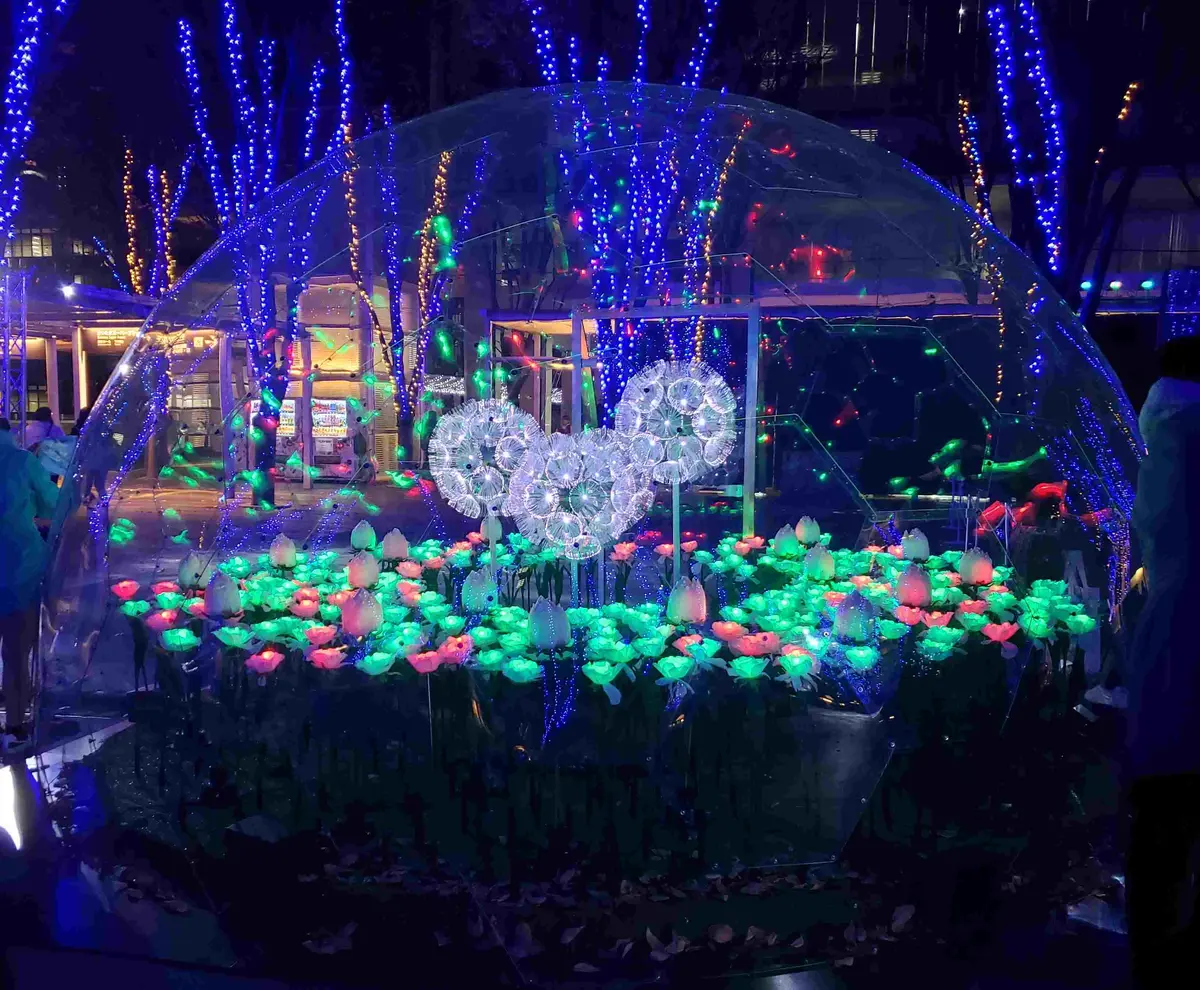 イルミネーション２