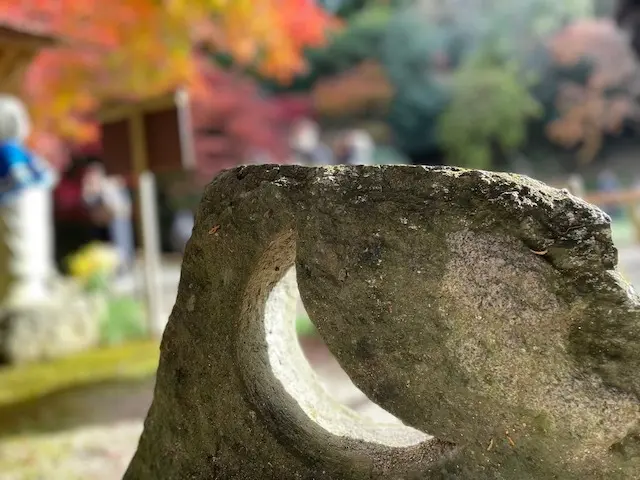 明月院　鎌倉　古都　紅葉　紅葉狩り　jマダム　non_no