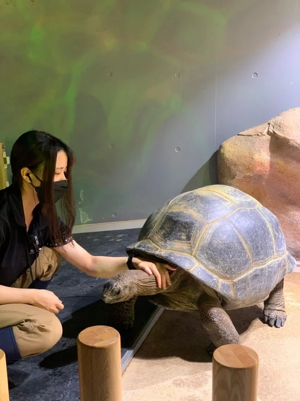 五感で楽しむ、新感覚の水族館【アトア】への画像_2