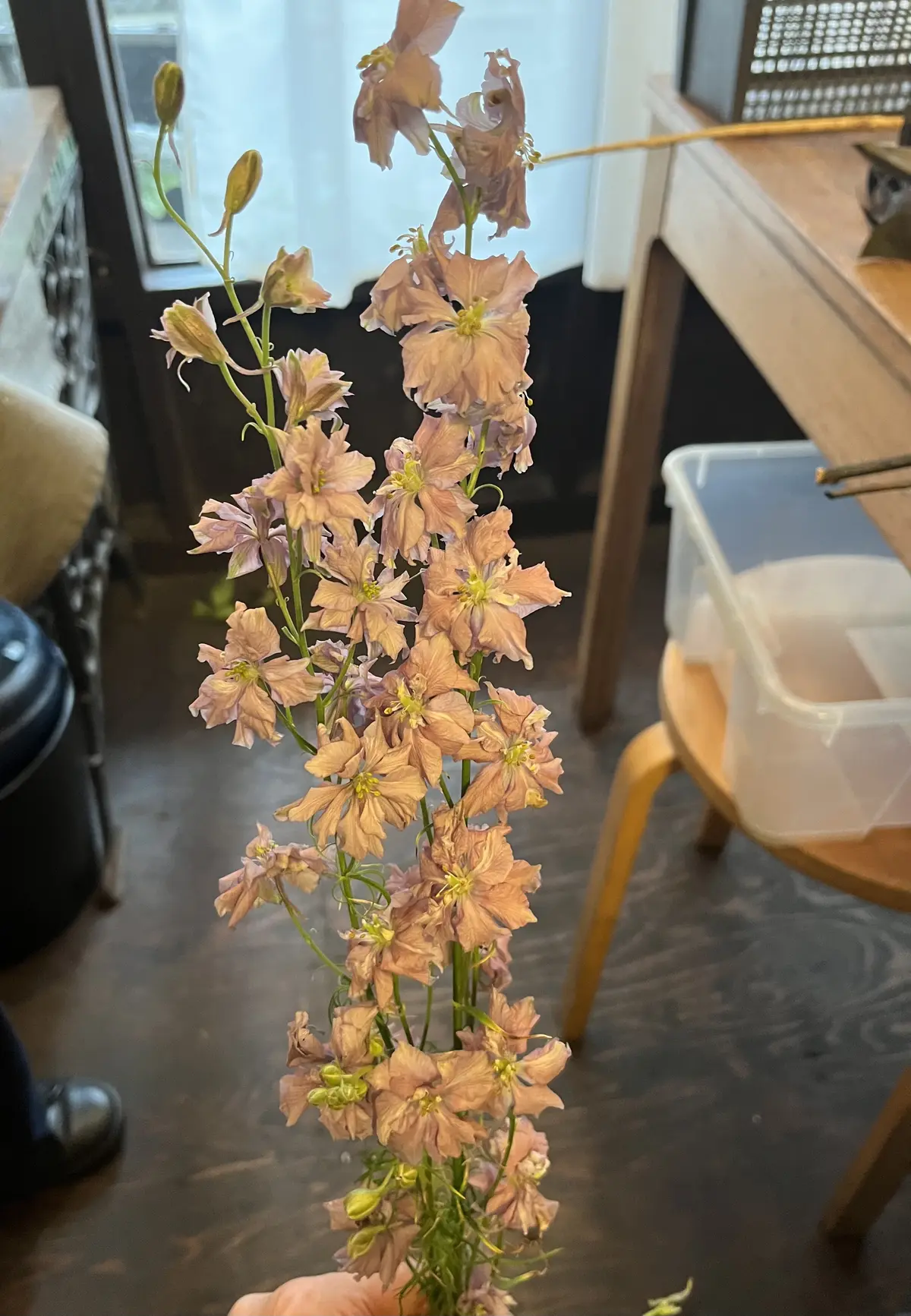 初めて選んだお花でブーケの画像_8