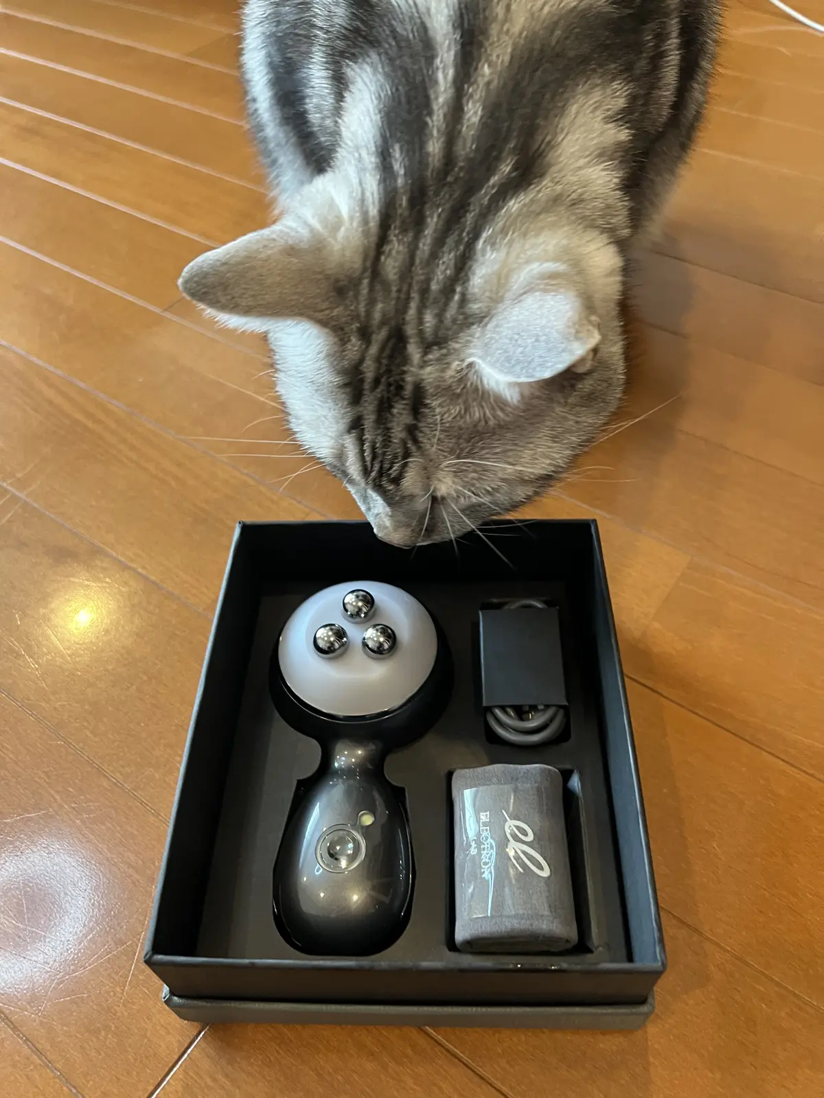 エレクトロン　エネボール　セット