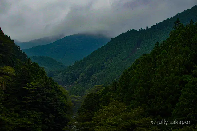【さかぽんの冒険】プチトリップ@奥多摩❤の画像_19