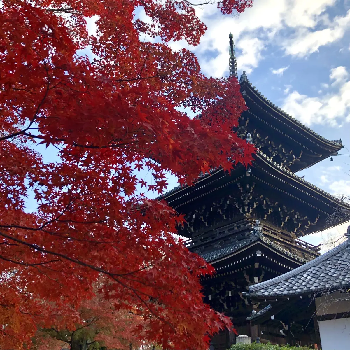 秋の景色を楽しむ♡京都の紅葉の画像_25