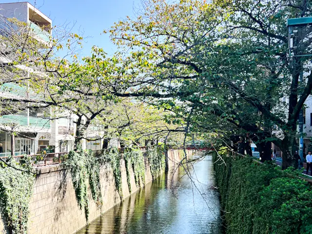 【東京デート】ローズ🌹香るアフタヌーンテの画像_10