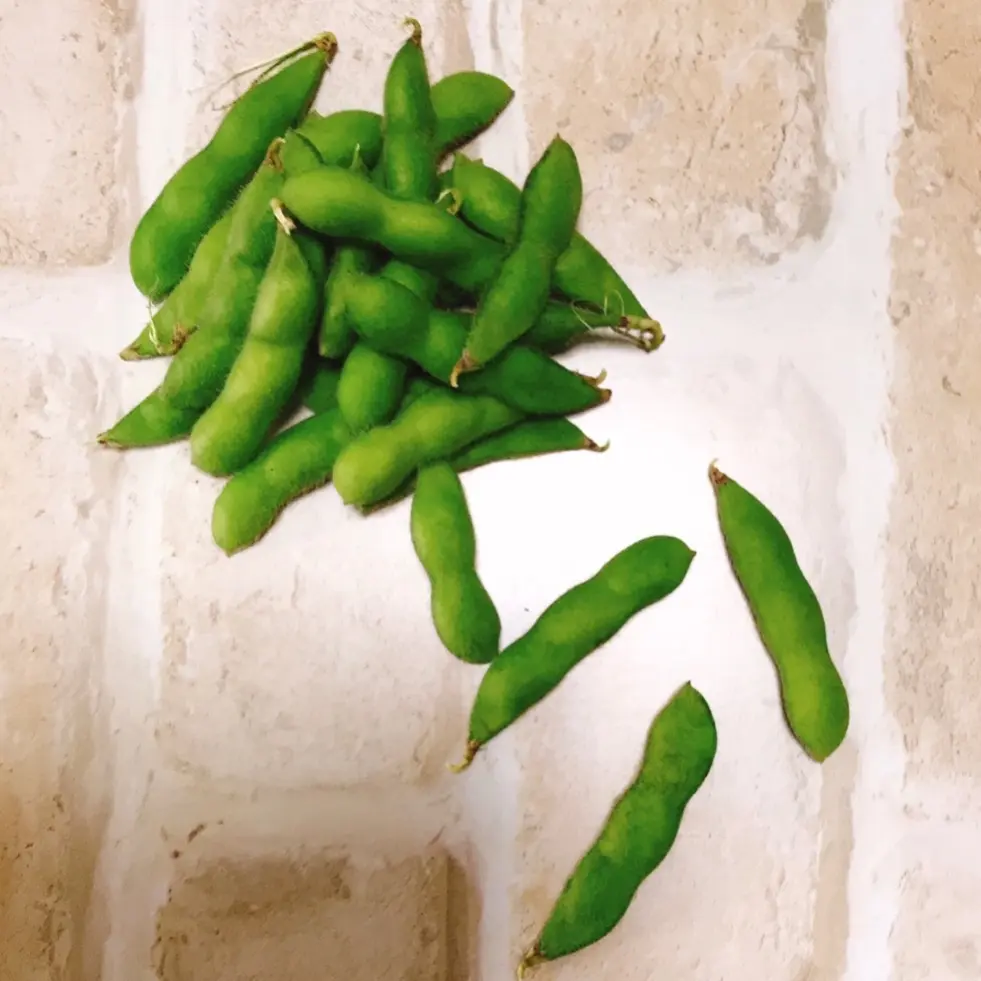 見頃を迎えた紫陽花を求めて鎌倉の2大名所の画像_19