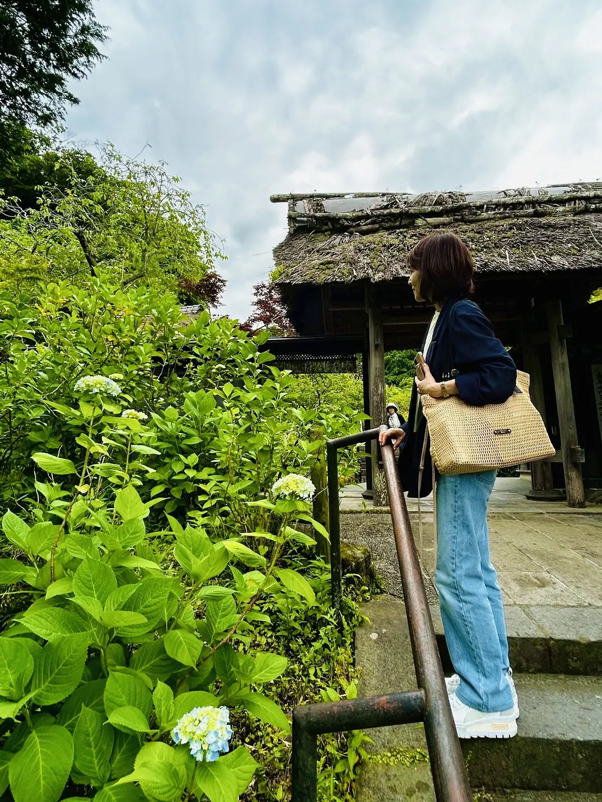 東慶寺の紫陽花を見つめる女性