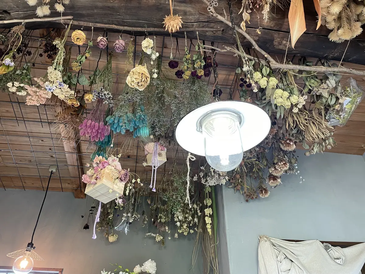 天井に吊るしたドライフラワー