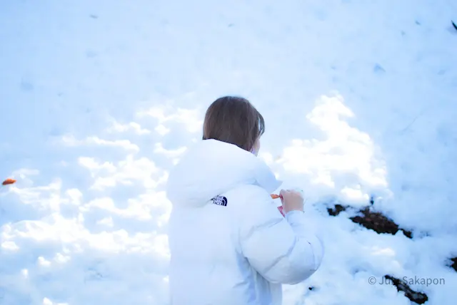 【さかぽんの大冒険】やってしまった冬山登の画像_5