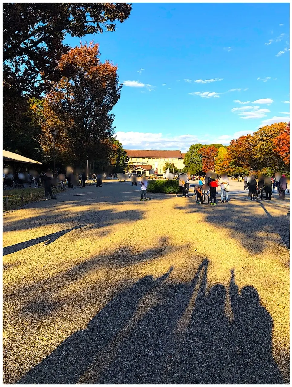 秋〜初冬の便利アイテムの画像_7