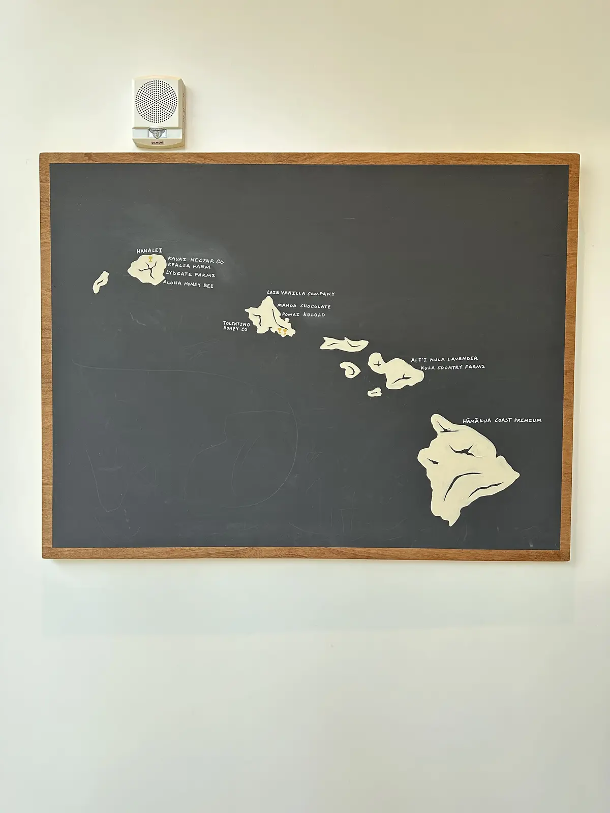 Hawaii day 3の画像_13