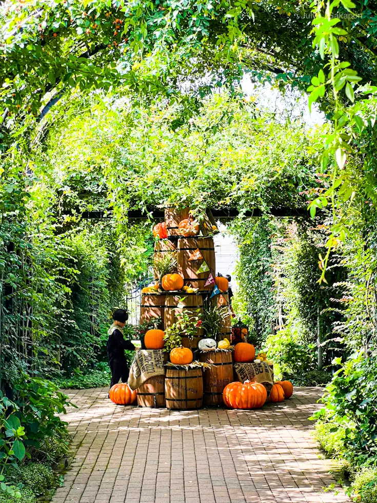 🎃Happy Halloween🎃横浜イの画像_4