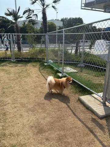夏休み　湘南初！道の駅「湘南ちがさき」への画像_2