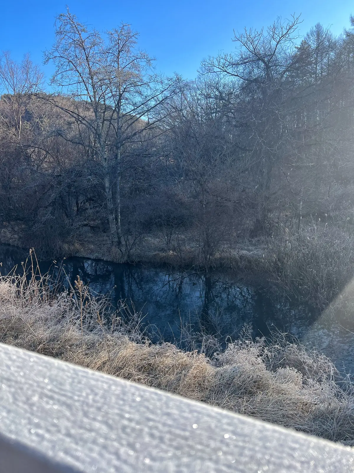 手ぶらで気軽にグランピング‼︎の画像_17